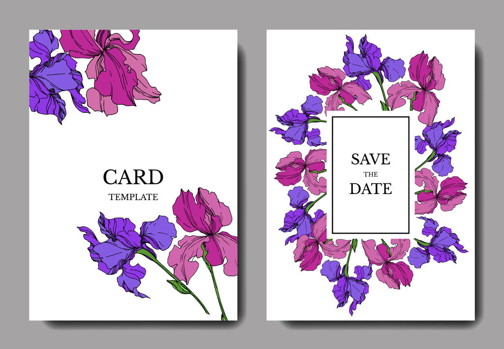 Vector Iris floral botanical flowers. Black and white engraved ink art. Wedding background card decorative border. - Vector, Image