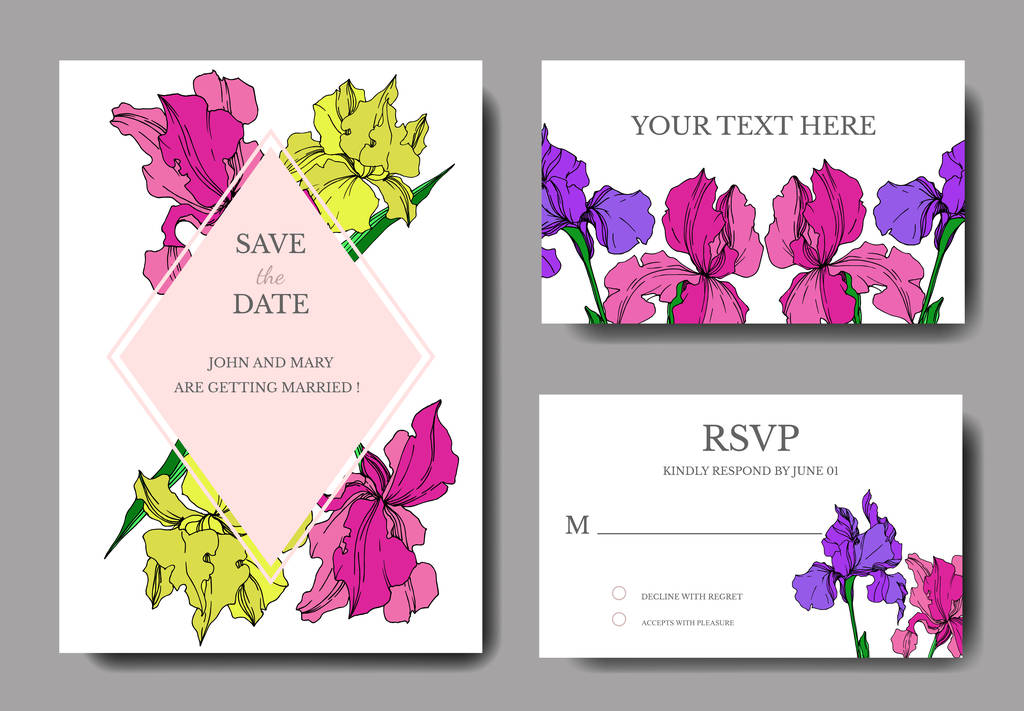 Vector Iris flores botânicas florais. Tinta gravada a preto e branco. Casamento cartão de fundo borda decorativa
. - Vetor, Imagem