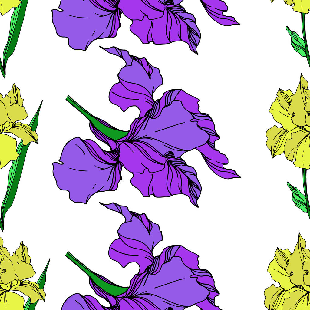Vektor-Iris florale botanische Blumen. Schwarz-weiß gestochene Tuschekunst. nahtloses Hintergrundmuster. - Vektor, Bild