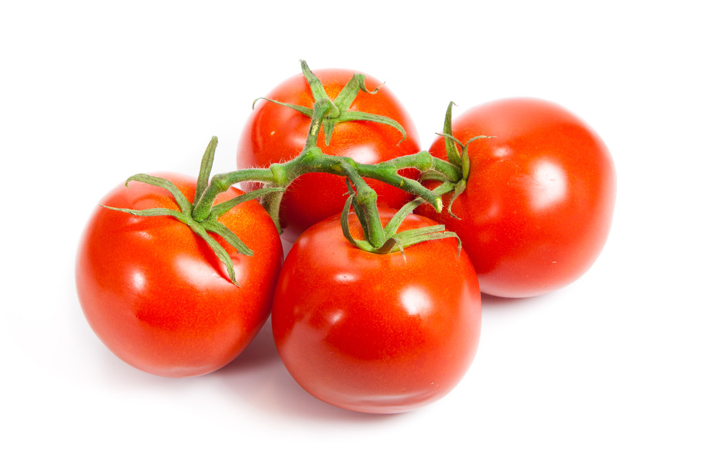 Close-up van tomaten op de wijnstok geïsoleerd op wit. tomaat branch - Foto, afbeelding