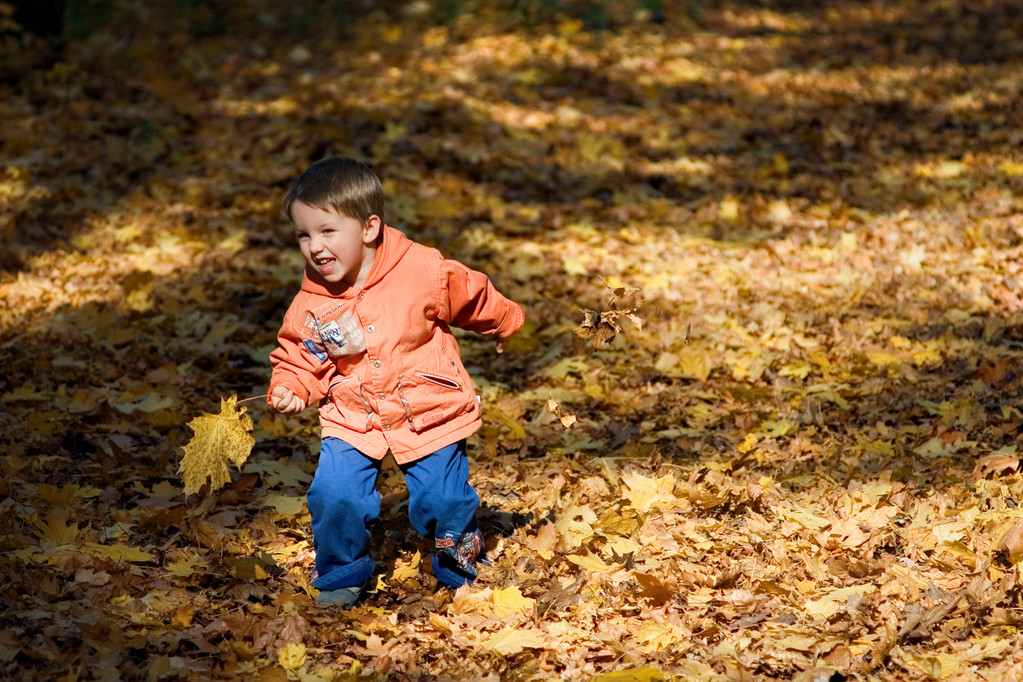 Poika leikkii syksyllä puistossa.
 - Valokuva, kuva