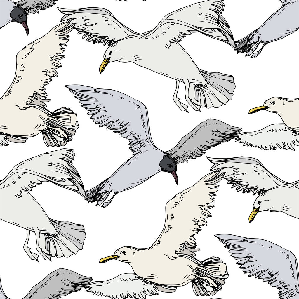 Sky Bird Seagull in een Wildlife. Zwart-wit gegraveerd Ink Art. Naadloos achtergrond patroon. - Vector, afbeelding
