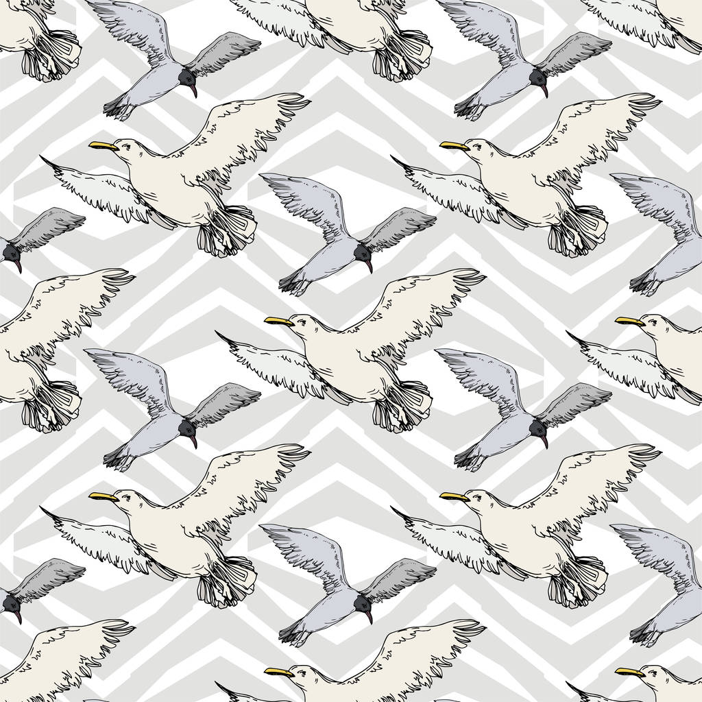 Sky bird seagull in a wildlife. Black and white engraved ink art. Seamless background pattern. - Vector, Image