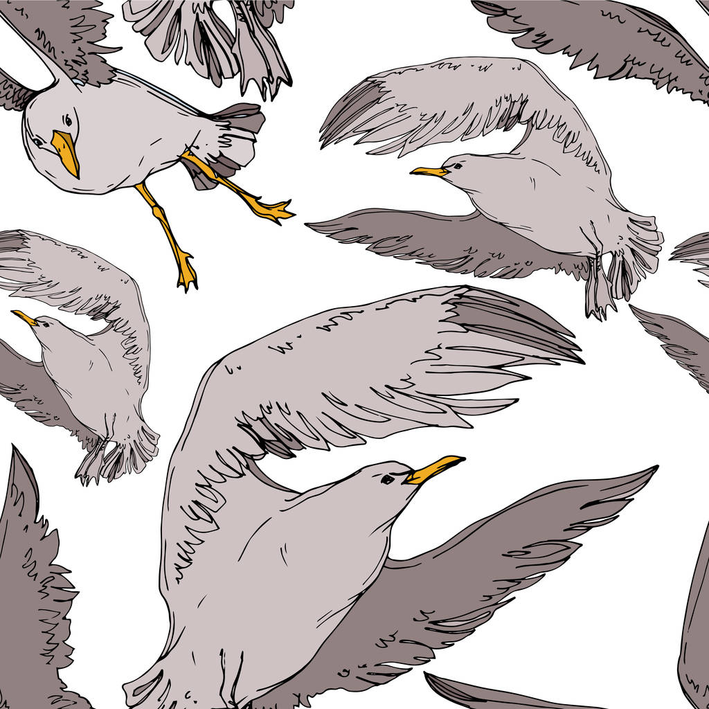 Vector Oiseau céleste mouette dans une faune sauvage. Encre gravée en noir et blanc. Modèle de fond sans couture
. - Vecteur, image