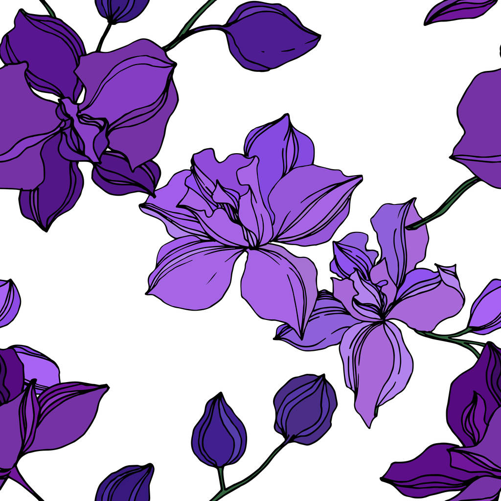 Vektori Orkidea kukka kasvitieteellinen kukkia. Musta ja violetti kaiverrettu muste taidetta. Saumaton taustakuvio
. - Vektori, kuva