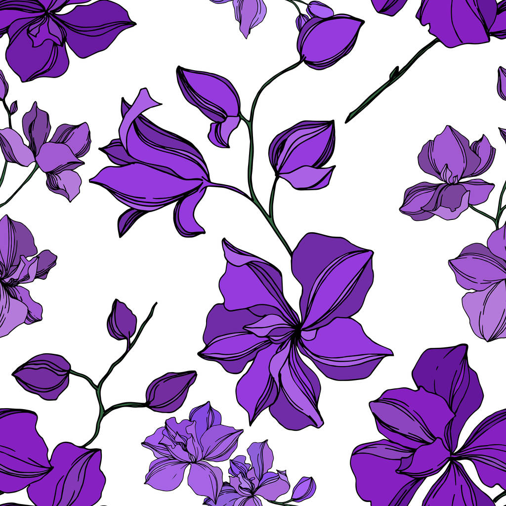 Vector Orchid floral botanical flowers. Black and purple engraved ink art. Seamless background pattern. - Vector, Image