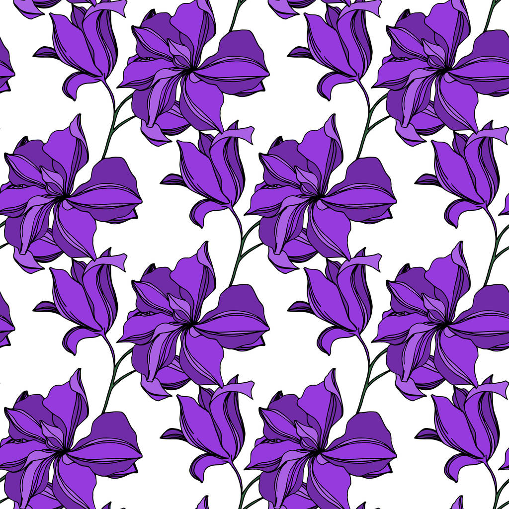 Vector Orchid flores botânicas florais. Tinta preta e roxa gravada arte. Padrão de fundo sem costura
. - Vetor, Imagem