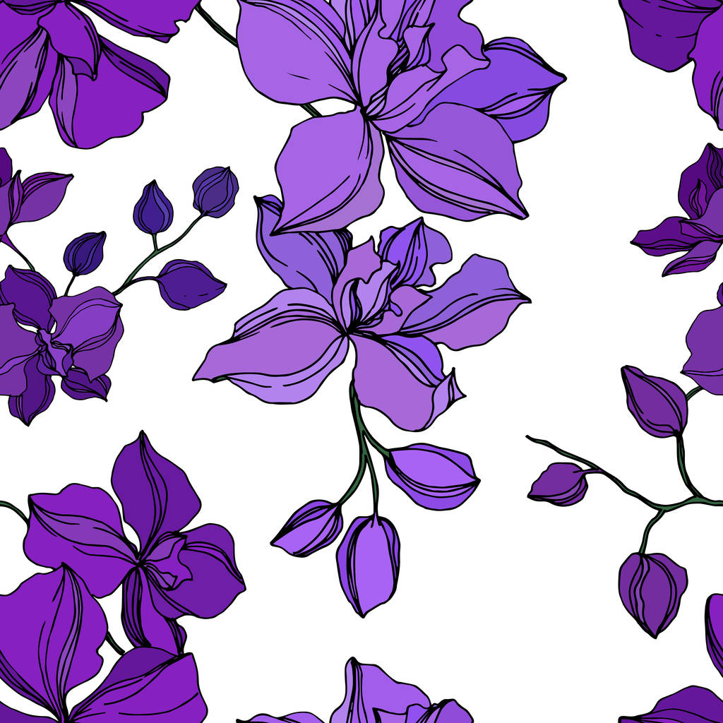 Vektorororchidee florale botanische Blumen. schwarz und lila gravierte Tuschekunst. nahtloses Hintergrundmuster. - Vektor, Bild