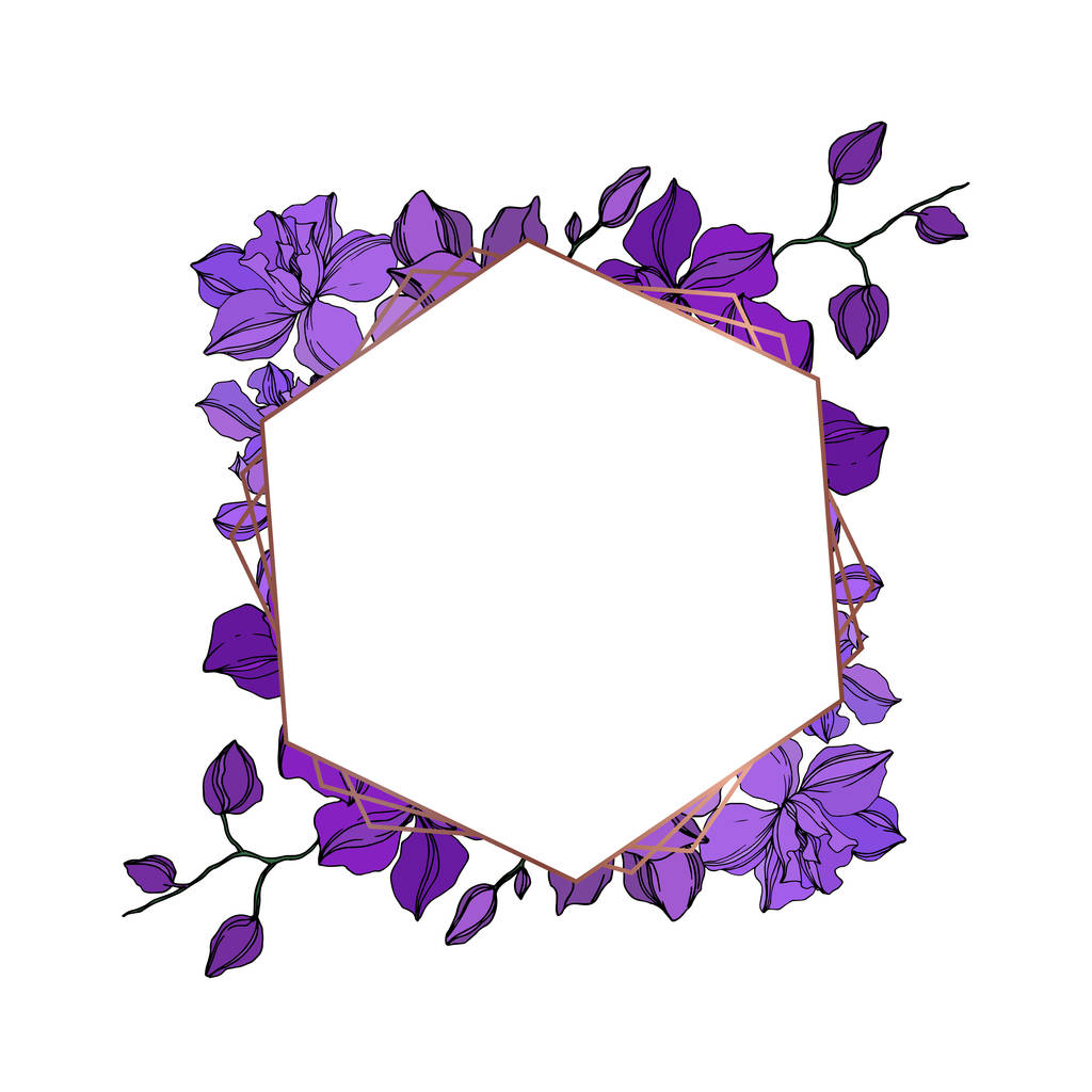 Vector Orchid flores botánicas florales. Tinta grabada negra y púrpura. Marco borde ornamento cuadrado
. - Vector, imagen
