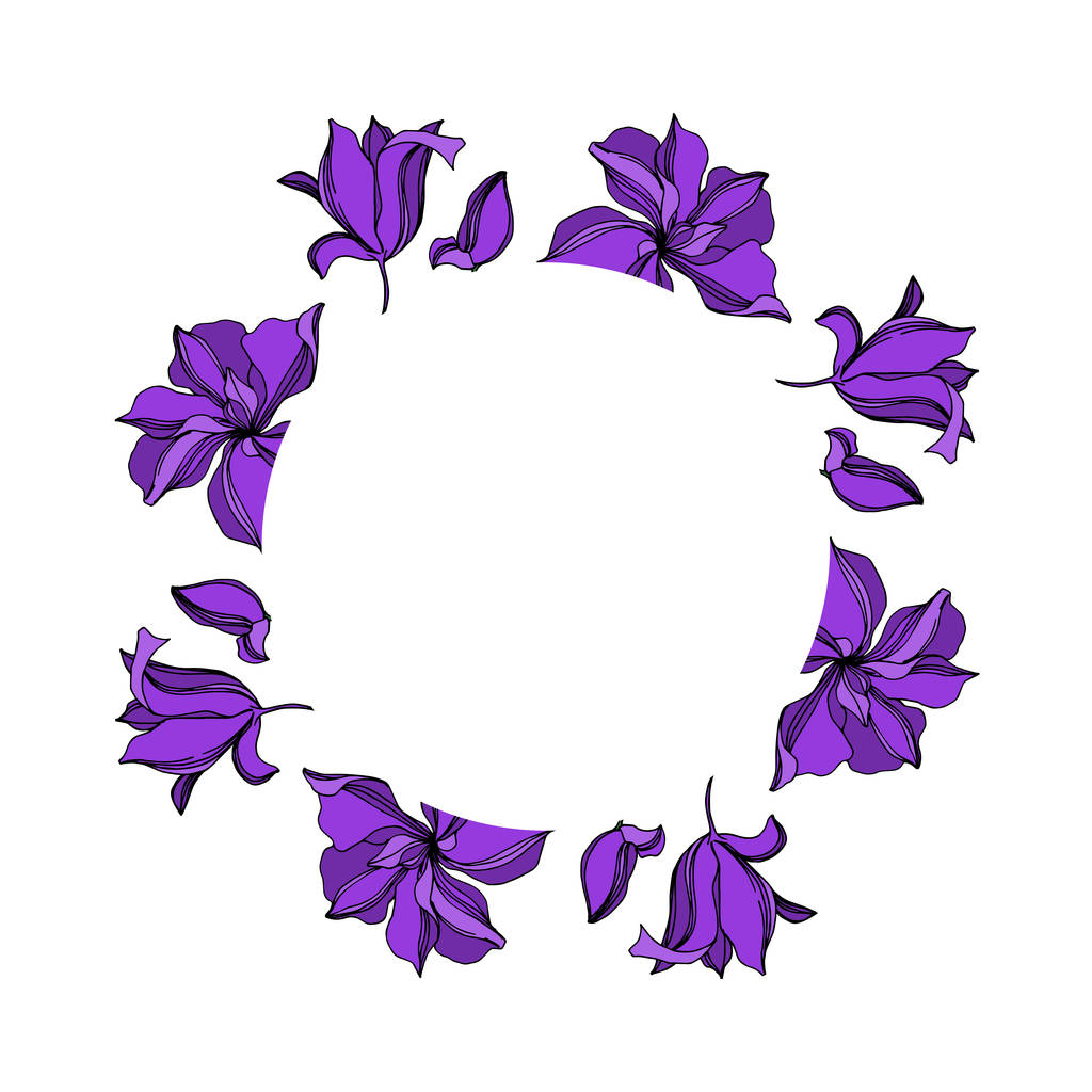 Vector Orchid flores botánicas florales. Tinta grabada negra y púrpura. Marco borde ornamento cuadrado
. - Vector, Imagen