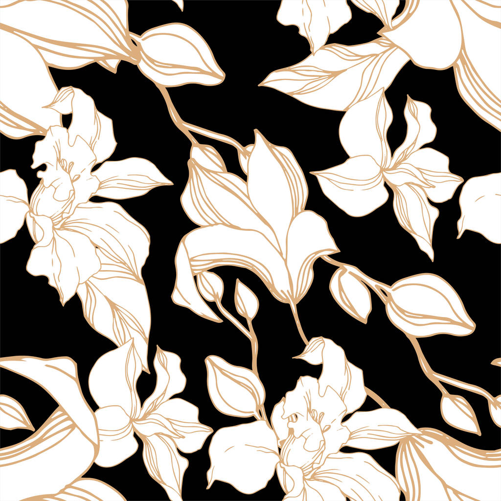 Vector Orchid flores botânicas florais. Tinta gravada a preto e branco. Padrão de fundo sem costura
. - Vetor, Imagem