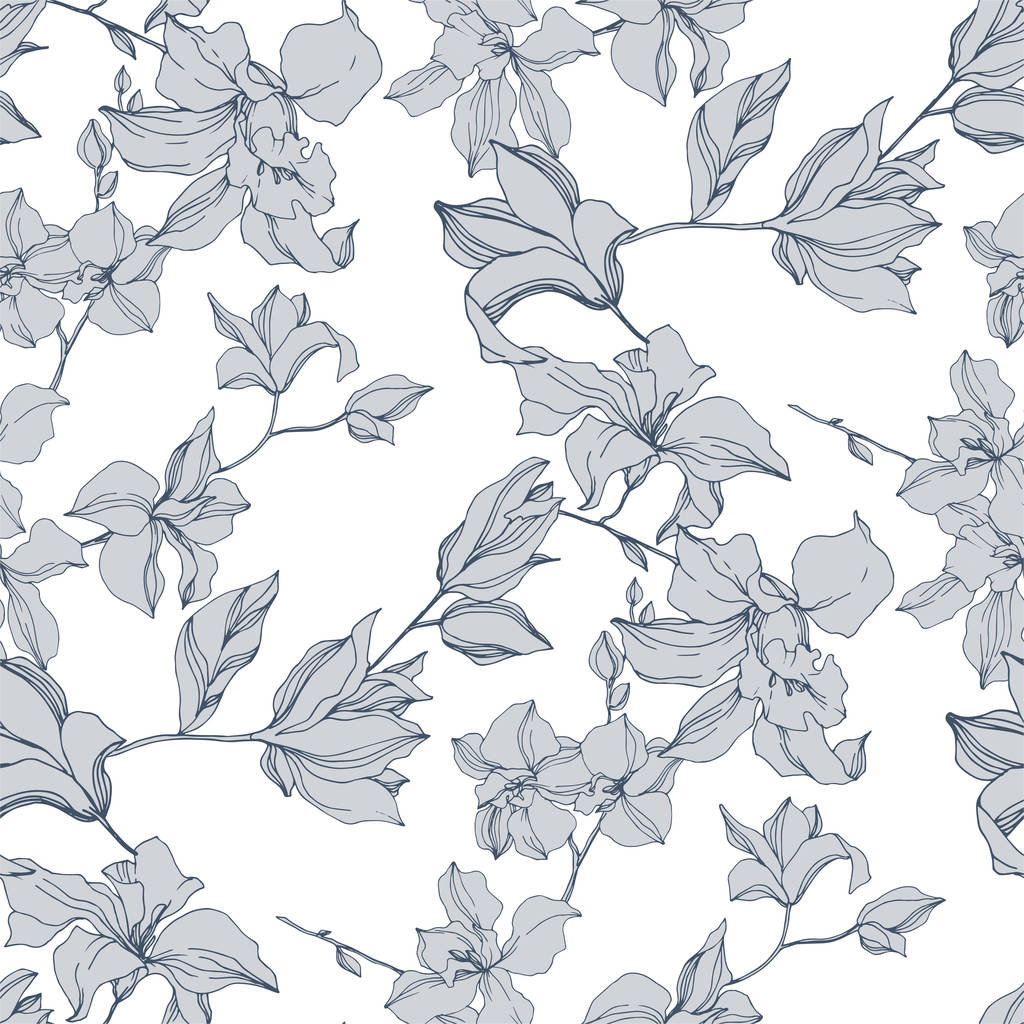 Vector Orchid floral botanical flowers. Black and white engraved ink art. Seamless background pattern. - Vector, Image