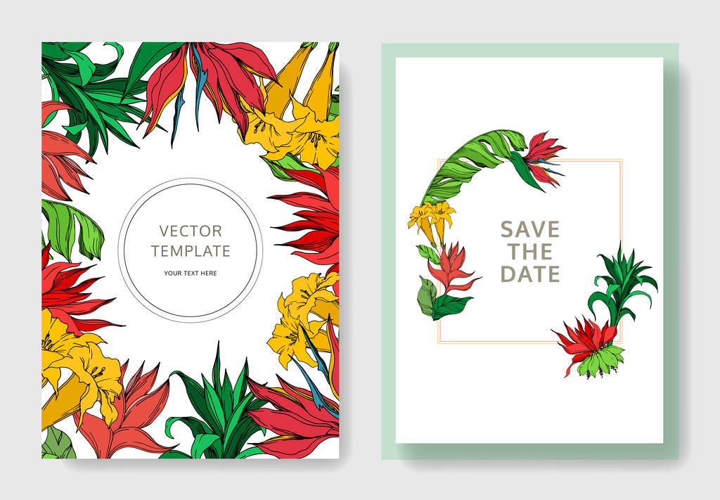 Vektor Palm Beach botanikai virágok. Fekete-fehér vésett tinta Art. Esküvői háttérkártya virág dekoratív határon. - Vektor, kép