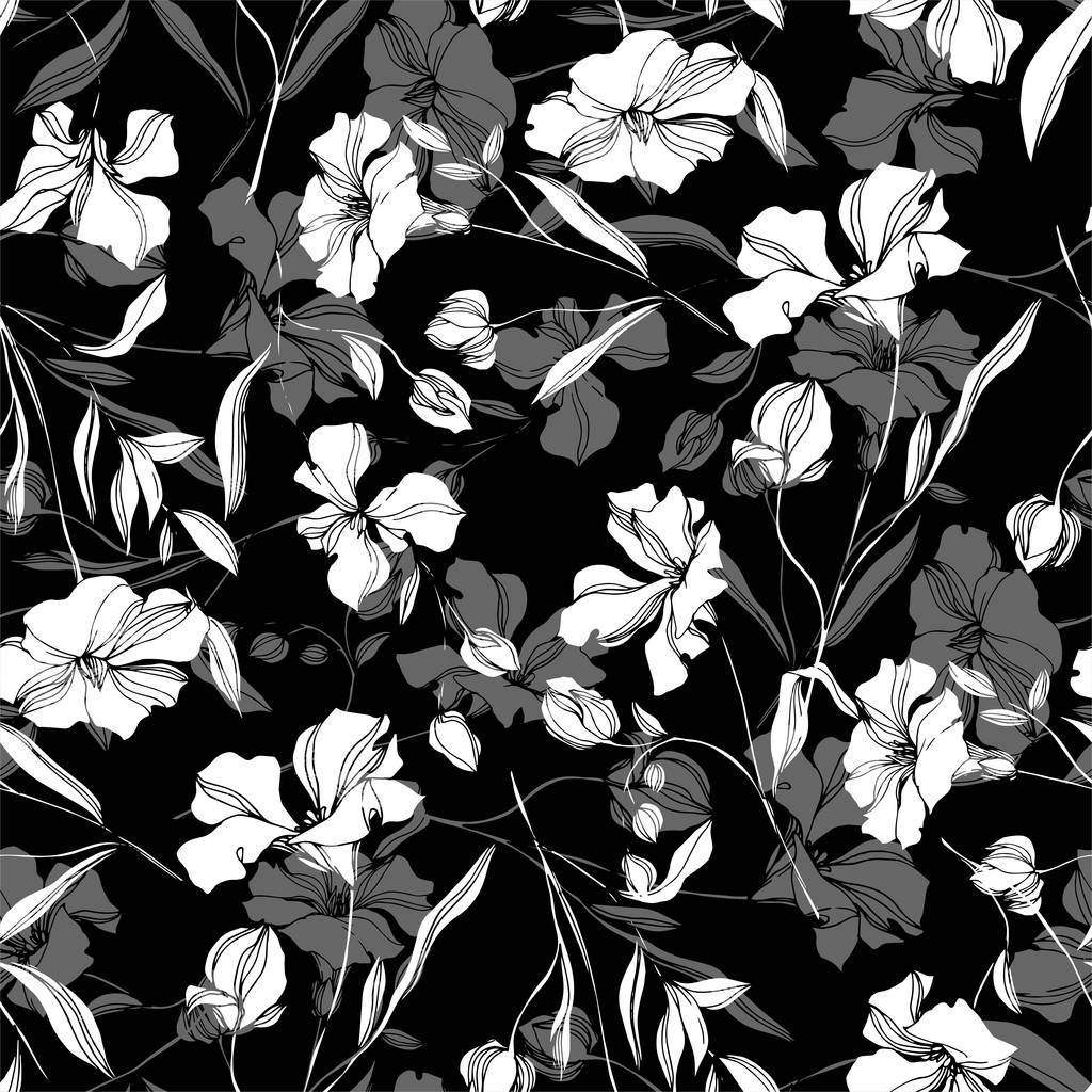 Vektor Flachs florale botanische Blumen. Schwarz-weiß gestochene Tuschekunst. nahtloses Hintergrundmuster. - Vektor, Bild