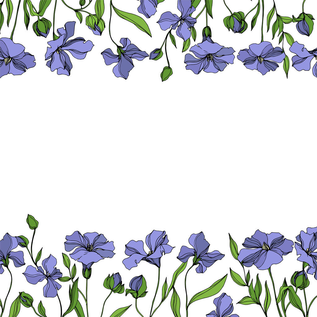 Vector Flax flores botânicas florais. Tinta gravada a preto e branco. Quadro borda ornamento quadrado
. - Vetor, Imagem