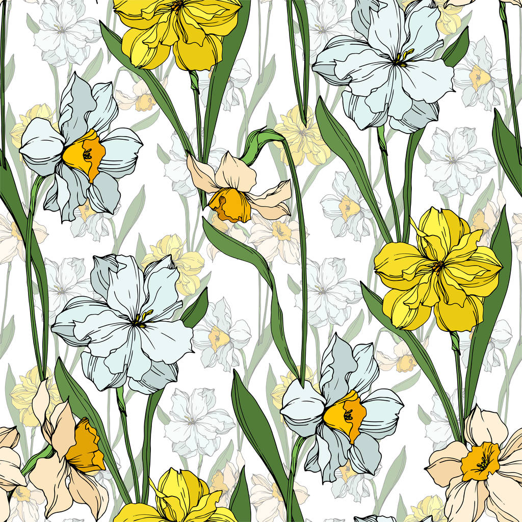 Vector Narcissus flores botánicas florales. Tinta grabada en blanco y negro. Patrón de fondo sin costuras
. - Vector, imagen