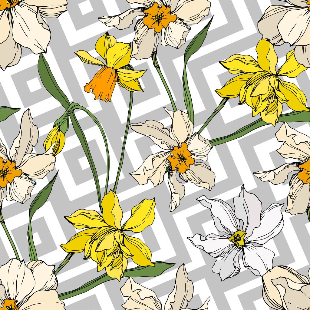 Vector Narcissus kwiatowy kwiatów botanicznych. Czarno-biała grawerowana sztuka atramentu. Płynny wzór tła. - Wektor, obraz
