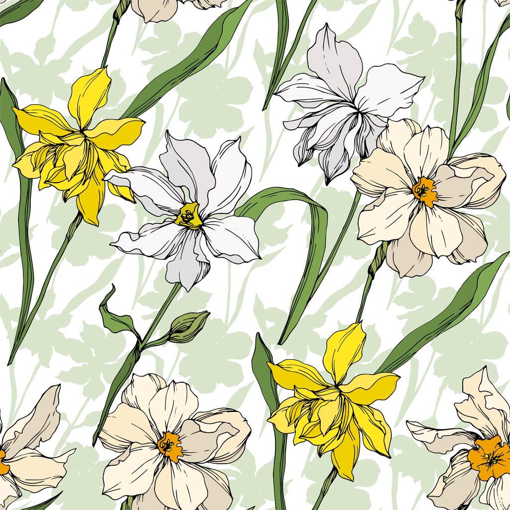Vector Narcissus flores botánicas florales. Tinta grabada en blanco y negro. Patrón de fondo sin costuras
. - Vector, imagen