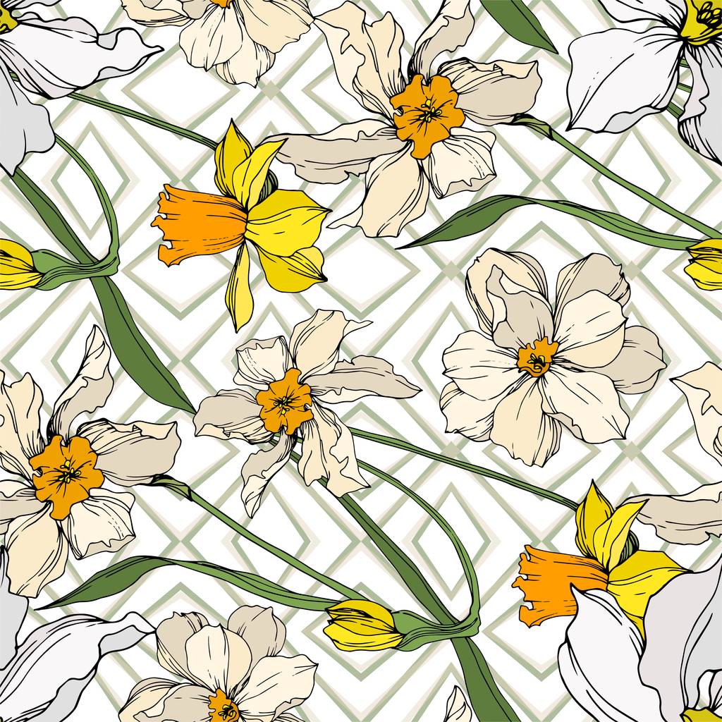 Vektör Narcissus çiçek botanik çiçekler. Siyah ve beyaz oyulmuş mürekkep sanatı. Kesintisiz arka plan deseni. - Vektör, Görsel