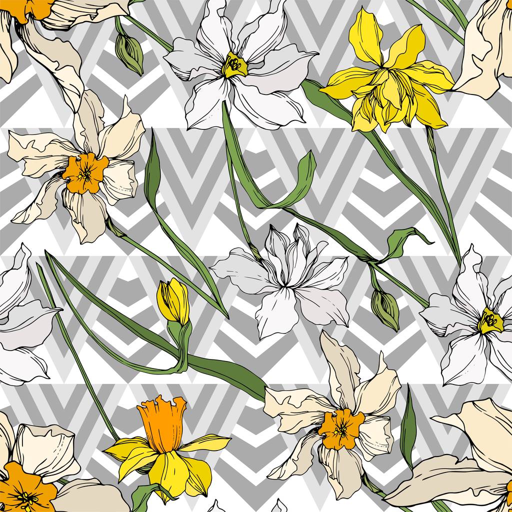 Vetor Narciso flores botânicas florais. Tinta gravada a preto e branco. Padrão de fundo sem costura
. - Vetor, Imagem