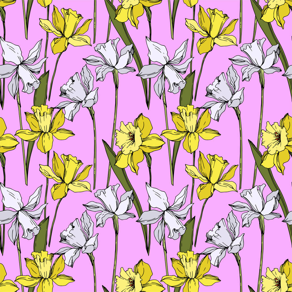 Vector Narcissus kwiatowy kwiatów botanicznych. Czarno-biała grawerowana sztuka atramentu. Płynny wzór tła. - Wektor, obraz