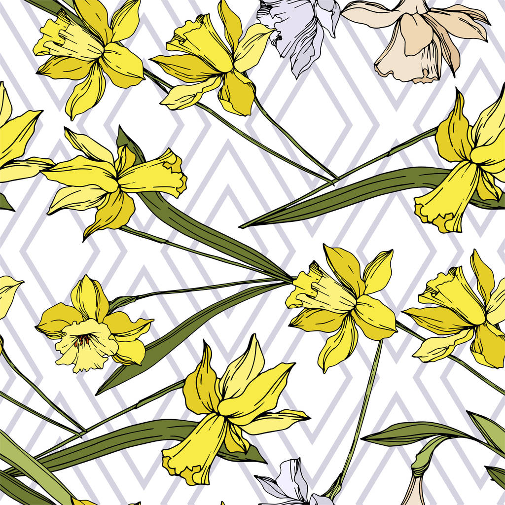 Vektori Narcissus kukka kasvitieteellinen kukkia. Musta ja valkoinen kaiverrettu muste taidetta. Saumaton taustakuvio
. - Vektori, kuva