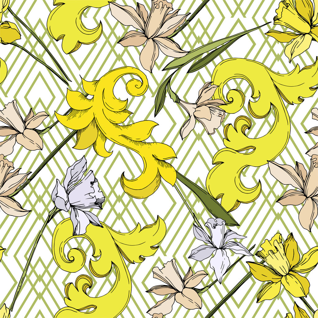 Vektor Narcissus virágos botanikai virágok. Fekete-fehér vésett tinta Art. Folytonos háttérmintázat. - Vektor, kép