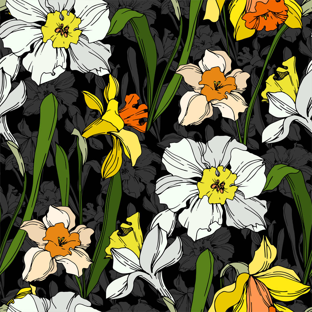 Vektör Narcissus çiçek botanik çiçek. Siyah ve beyaz oyulmuş mürekkep sanatı. Kesintisiz arka plan deseni. - Vektör, Görsel