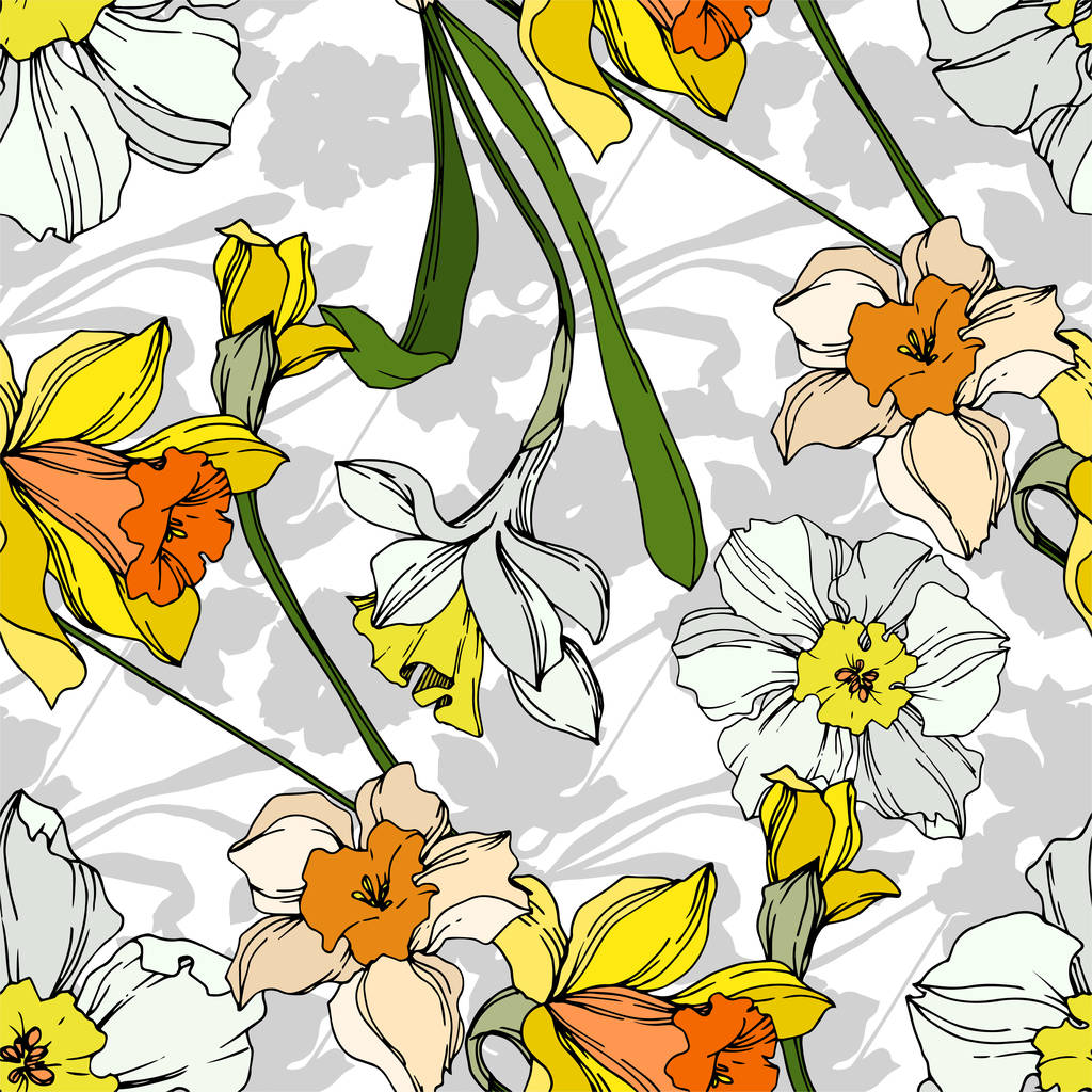 Vetor Narciso flor botânica floral. Tinta gravada a preto e branco. Padrão de fundo sem costura
. - Vetor, Imagem