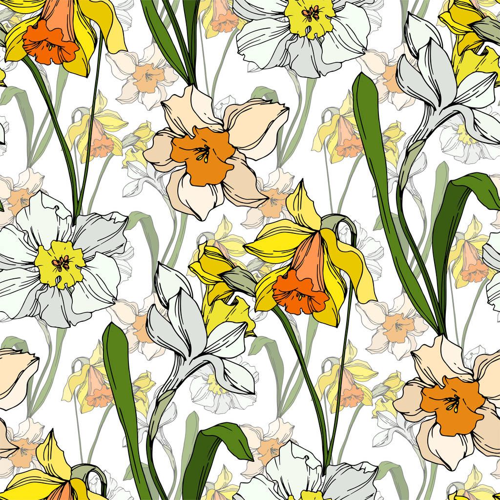 Vektor Narcissus virágos botanikus virág. Fekete-fehér vésett tinta Art. Folytonos háttérmintázat. - Vektor, kép