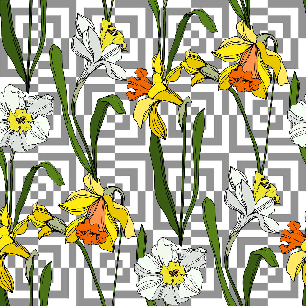 Vector Narcissus flor botánica floral. Tinta grabada en blanco y negro. Patrón de fondo sin costuras
. - Vector, imagen