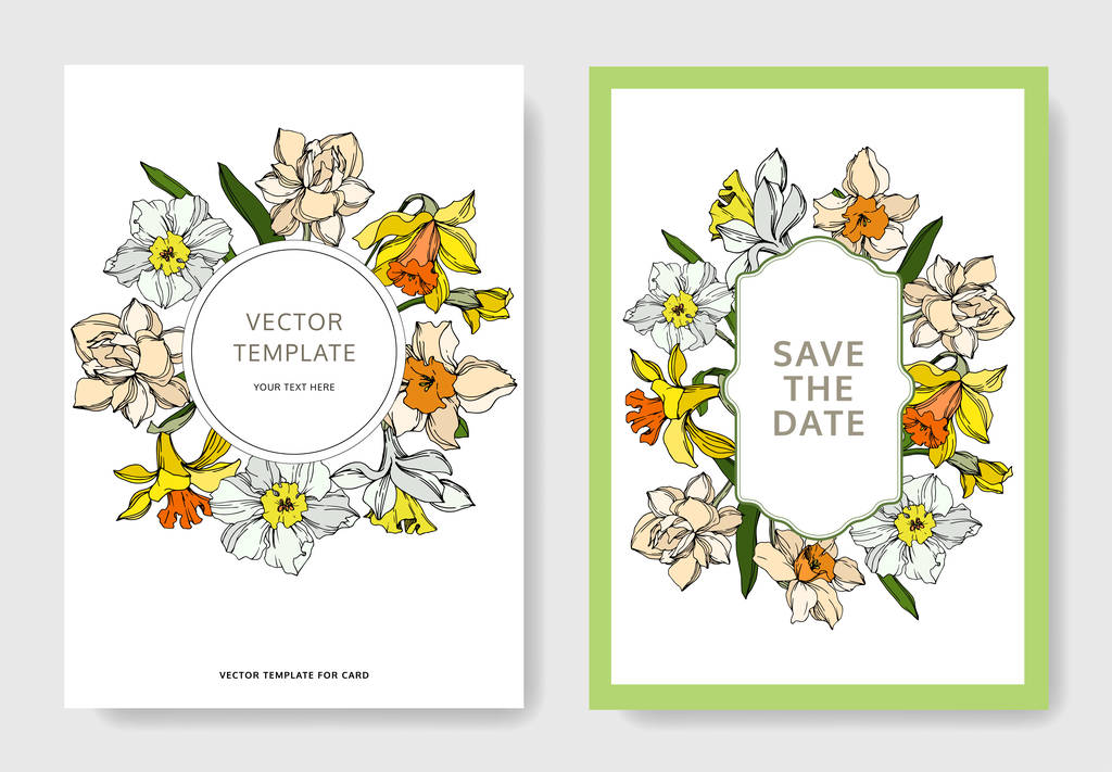 Vector Narcissus floral botanical flower. Black and white engraved ink art. Wedding background card decorative border. - Vector, Image