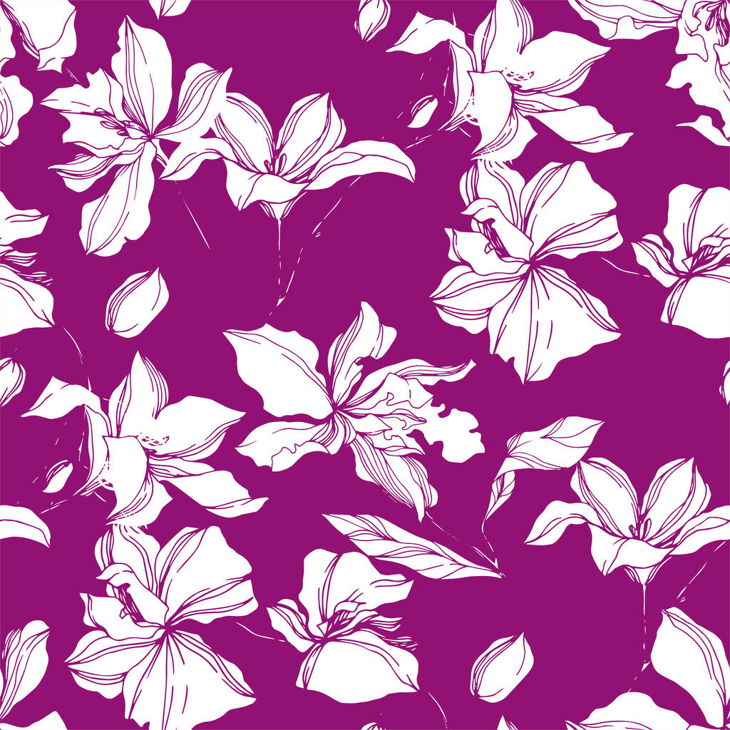 Vector Orchid floral botanical flowers. Black and white engraved ink art. Seamless background pattern. - Vector, Image