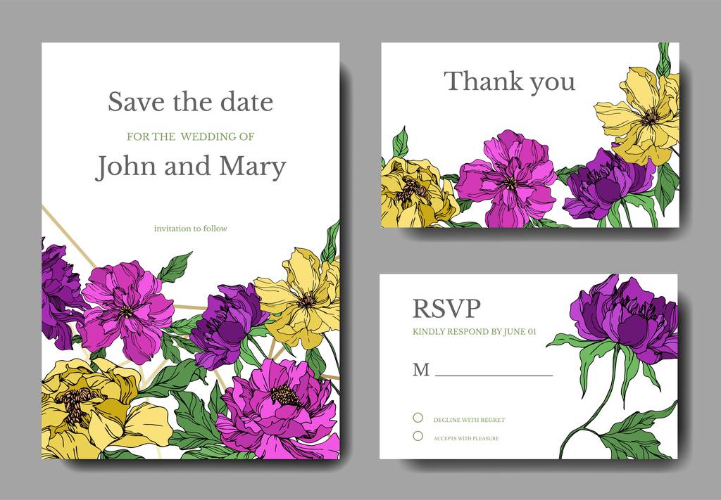 Peony floral botanical flowers. Black and white engraved ink art. Wedding background card floral decorative border. - Vector, Image