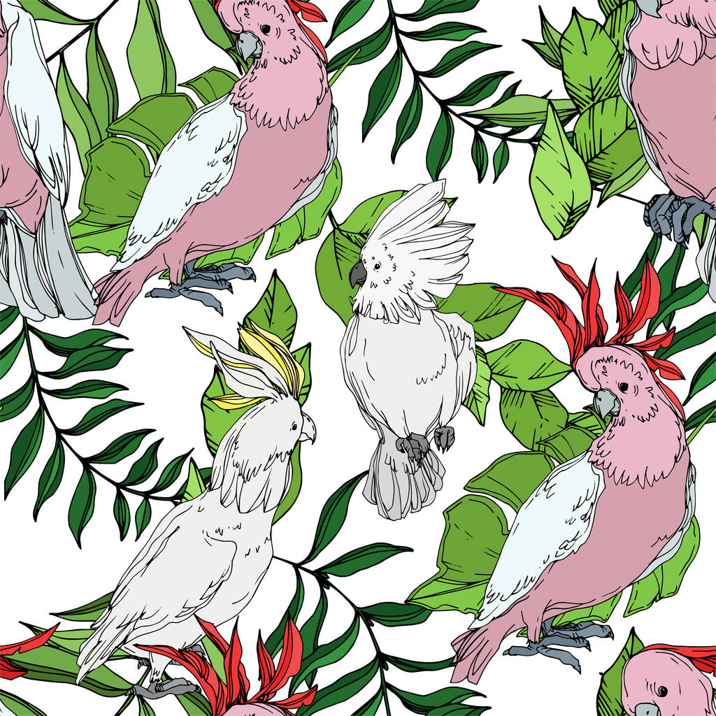 Vector Sky bird cockatoo in a wildlife. Black and white engraved ink art. Seamless background pattern. - Vector, Image