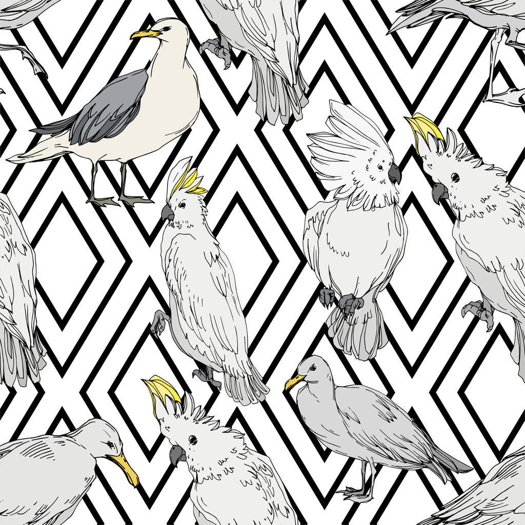 Vektorhimmelvogel Kakadu in einer Tierwelt. Schwarz-weiß gestochene Tuschekunst. nahtloses Hintergrundmuster. - Vektor, Bild