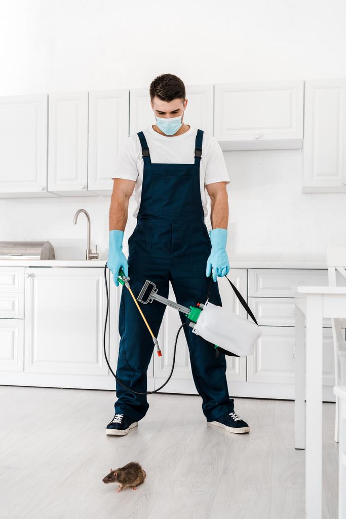 mutfakta fare yakınında sprey ile toksik ekipman tutan üniforma ve koruyucu maske imha  - Fotoğraf, Görsel