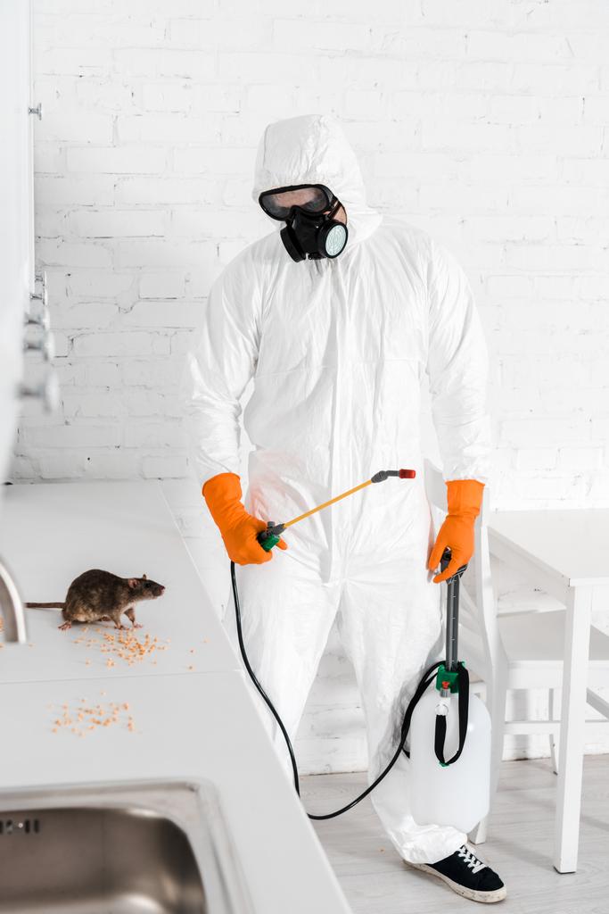 exterminador sosteniendo spray tóxico y mirando a la rata cerca de guisantes en la mesa
  - Foto, Imagen