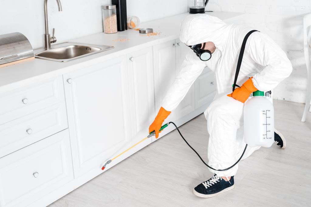 exterminator holding toxic equipment near kitchen cabinet  - Photo, Image