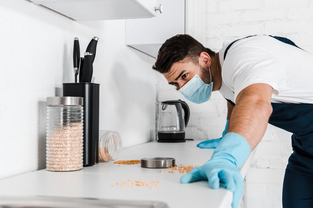 exterminator standing near kitchen cabinet and looking at table with jars  - Photo, Image