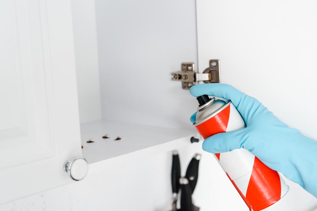bijgesneden weergave van Exterminator skin in latex handschoen houden spray kan in de buurt van keuken kast  - Foto, afbeelding