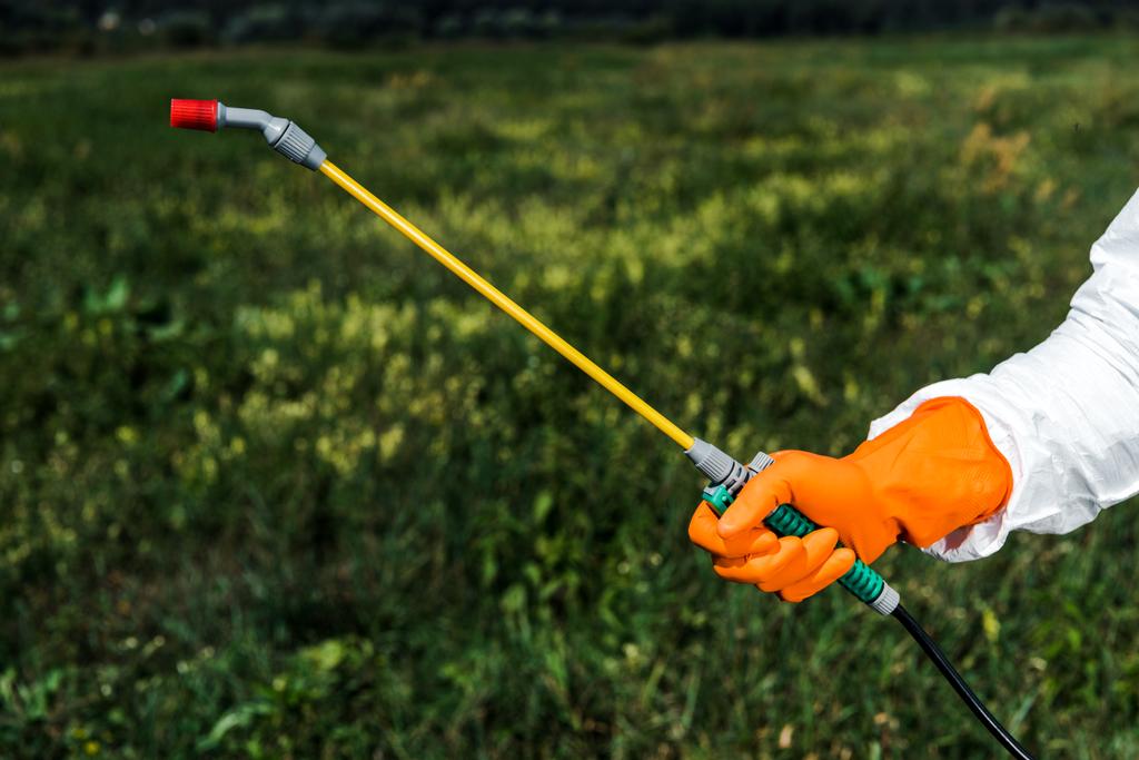 cropped view of exterminator in latex glove holding spray outside  - Photo, Image