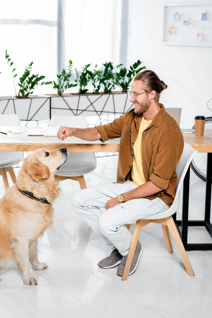 smiling and handsome man feeding cute golden retriever in office  - Photo, Image