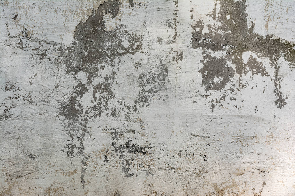 texture mur en béton avec couche de plâtre détruite et peinture, ombre des arbres, architecture abstraction fond
 - Photo, image