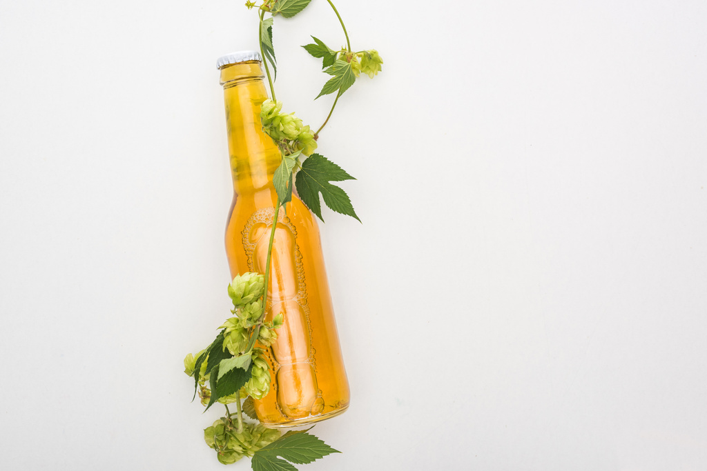 beyaz arka plan üzerinde yeşil hop ile şişede sarı bira üst görünümü - Fotoğraf, Görsel