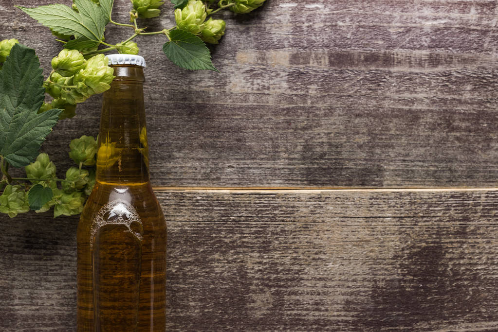Draufsicht auf frisches Bier in Flasche mit Hopfen auf Holzgrund - Foto, Bild