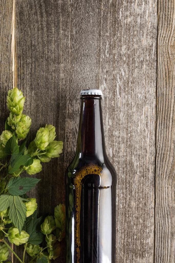 top view of beer with green hop on wooden background - Photo, Image