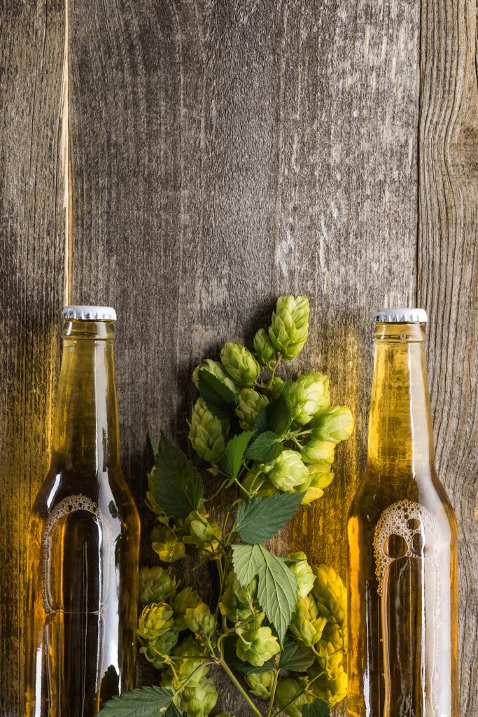 вид на пиво в бутылках с зеленым хмелем на деревянном фоне
 - Фото, изображение