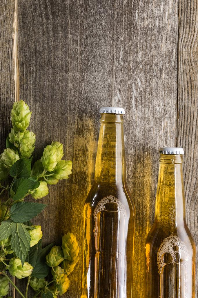 vista superior de la cerveza en botellas con lúpulo verde sobre fondo de madera con espacio para copiar
 - Foto, imagen