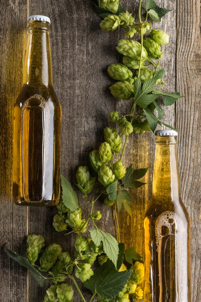 ahşap arka plan üzerinde yeşil hop ile şişelerde bira üst görünümü - Fotoğraf, Görsel